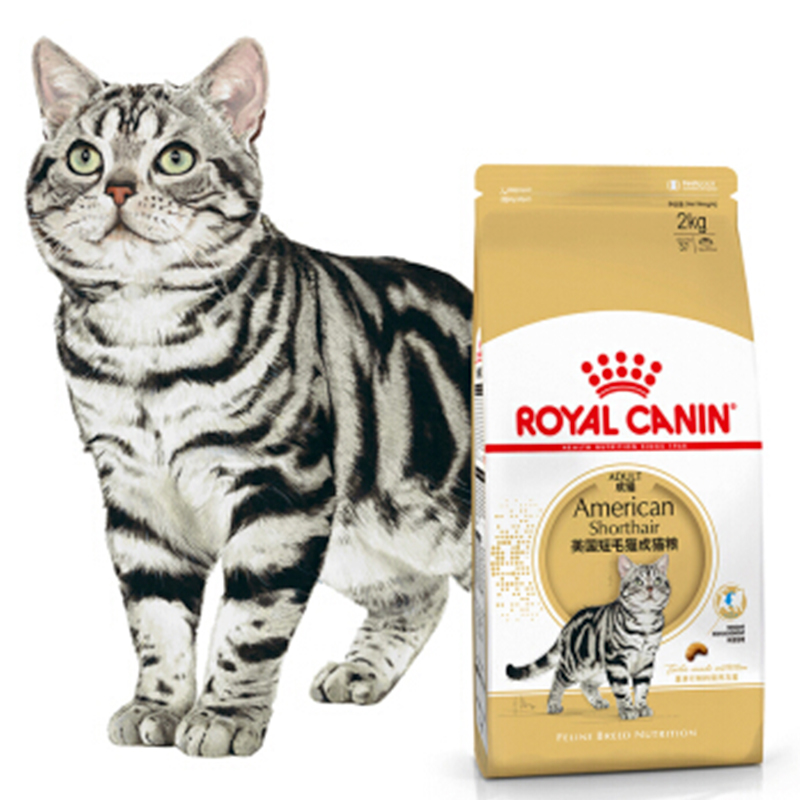 Royal Canin Bs34 British Shorthair Adult Cat Food Thdispatcher